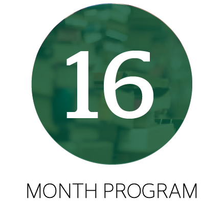 16 month program.png